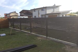 untitled (2000 x 1334 px) (1)